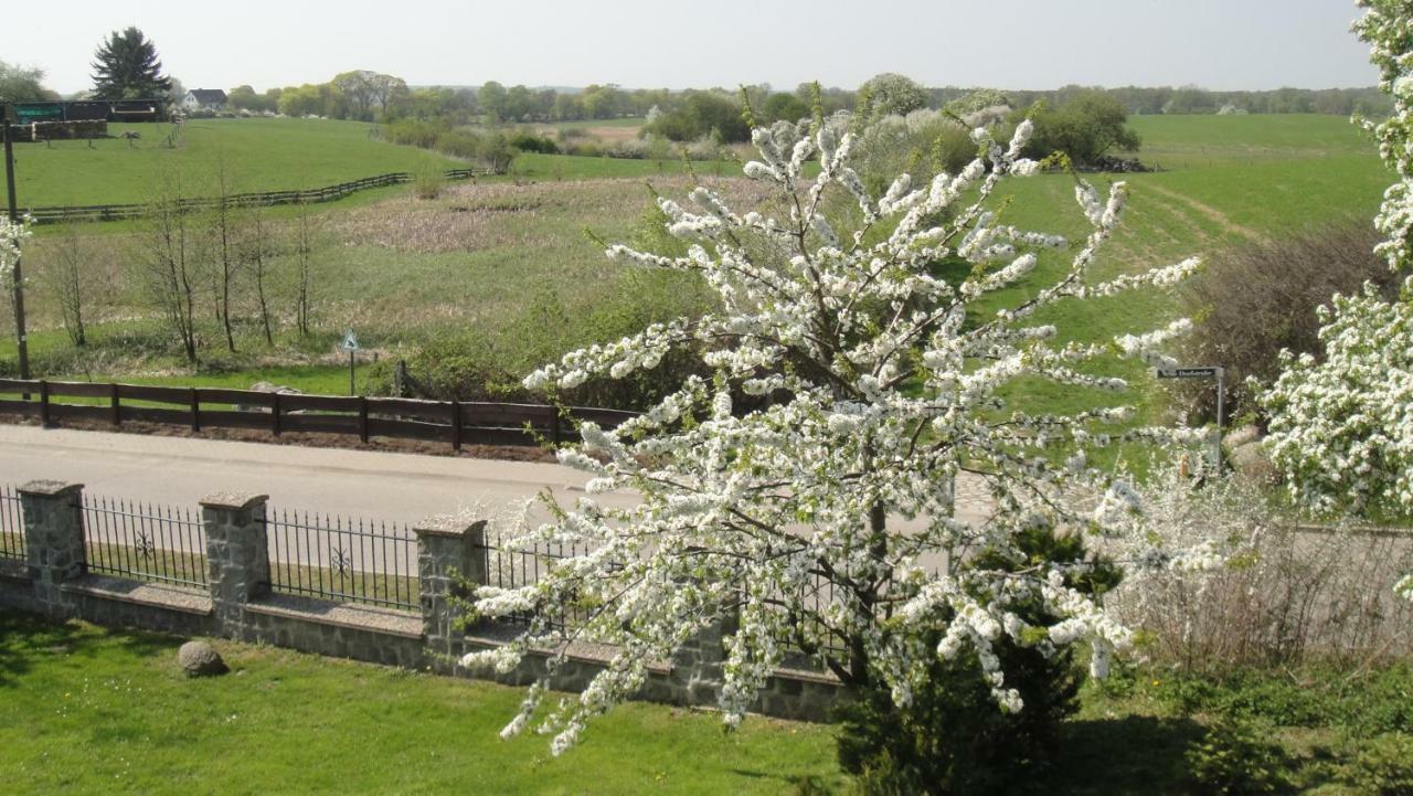 Landpension Zum Schweizerberg Neugrimnitz Exterior foto