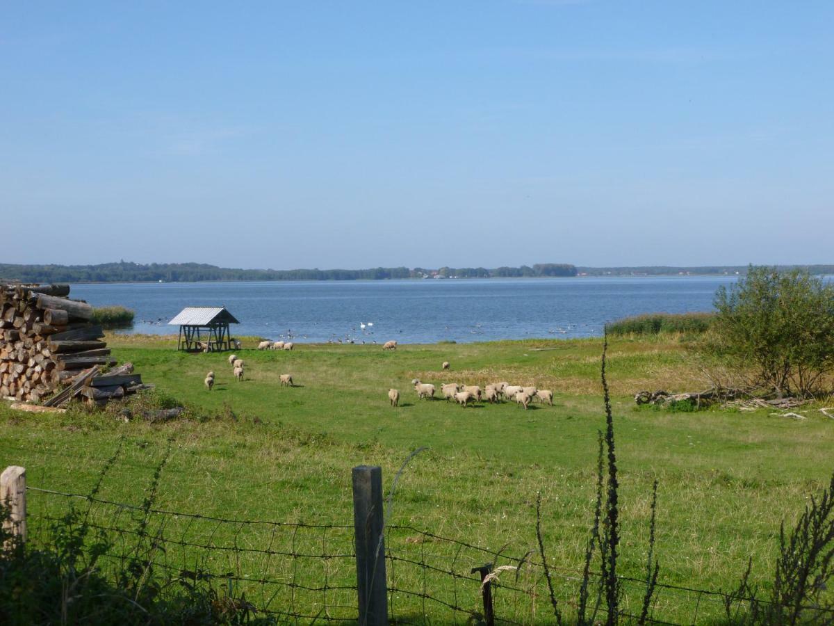 Landpension Zum Schweizerberg Neugrimnitz Exterior foto